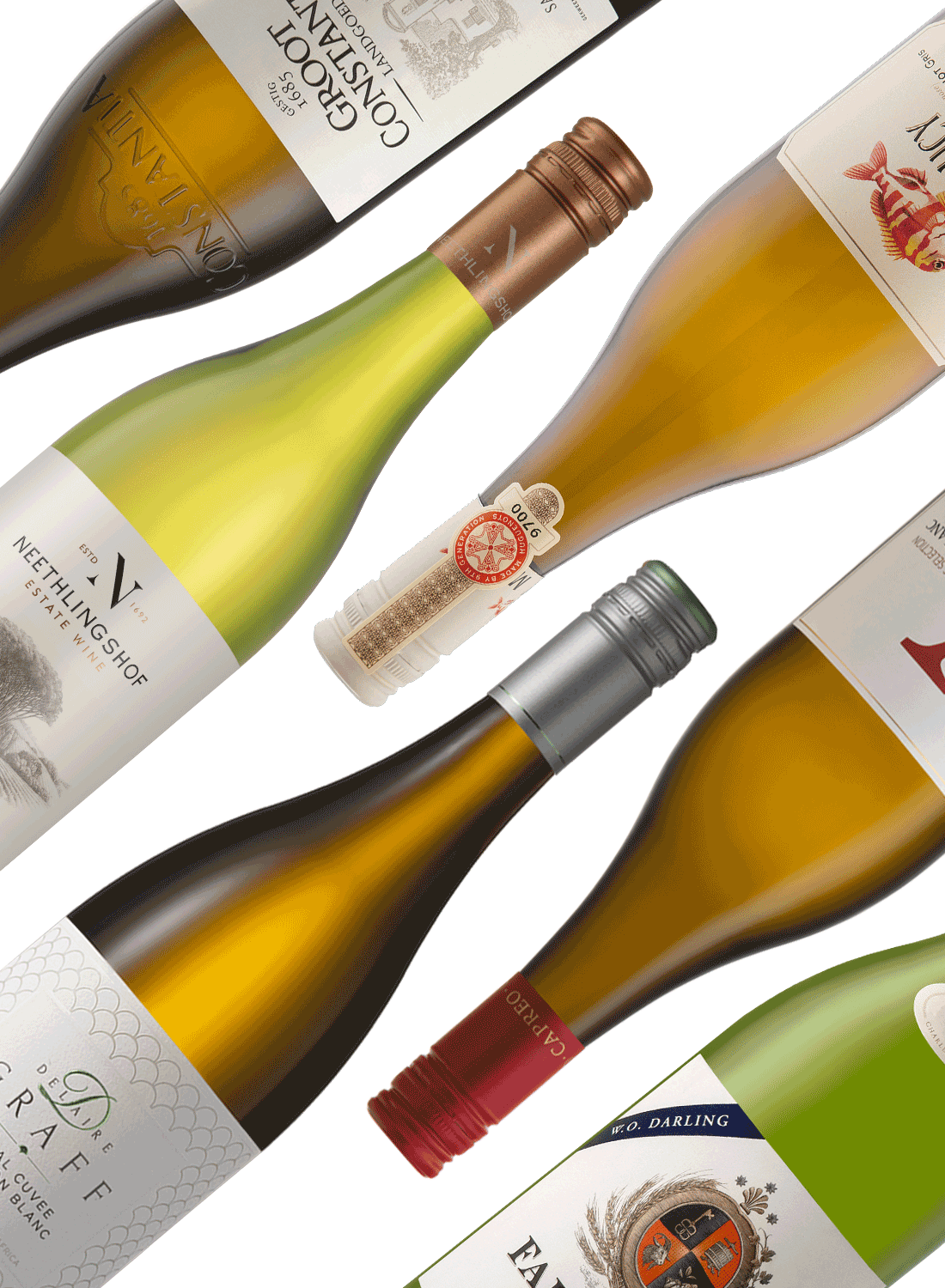 Best of Whites 🥂 Weißweinpaket