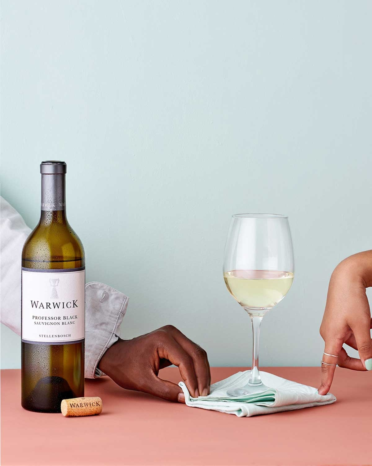 Eine Flasche Warwick Professor Black Sauvignon Blanc aus Stellenbosch mit einem silbernen Etikett mit dem Markennamen und dem Logo.