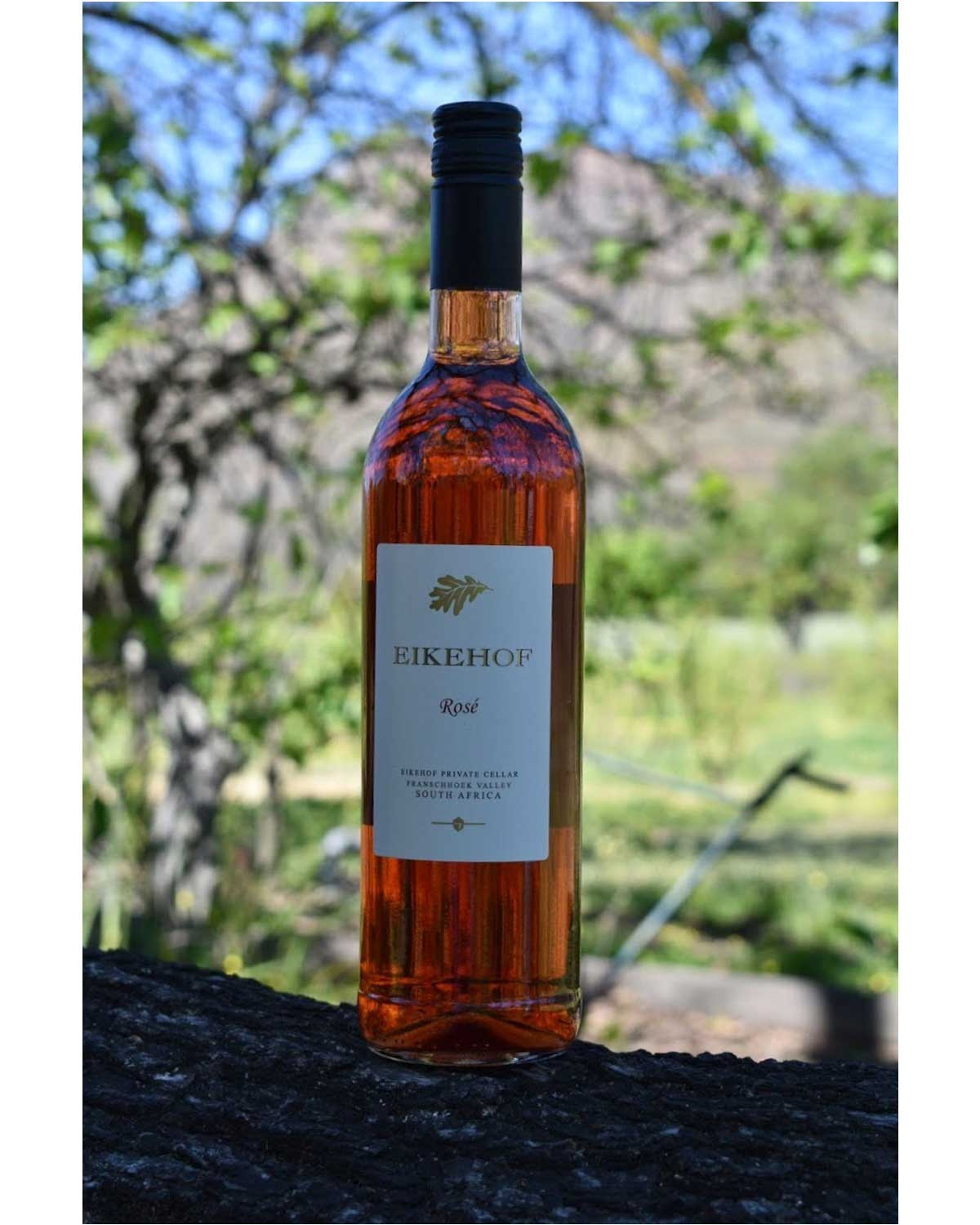 Eine Flasche Eikehof Roséwein mit schwarzem Schraubverschluss, transparentem Glas, auf dem die rosafarbene Flüssigkeit zu sehen ist, und weißem Etikett mit goldener Schrift und Eichenblattmotiv.