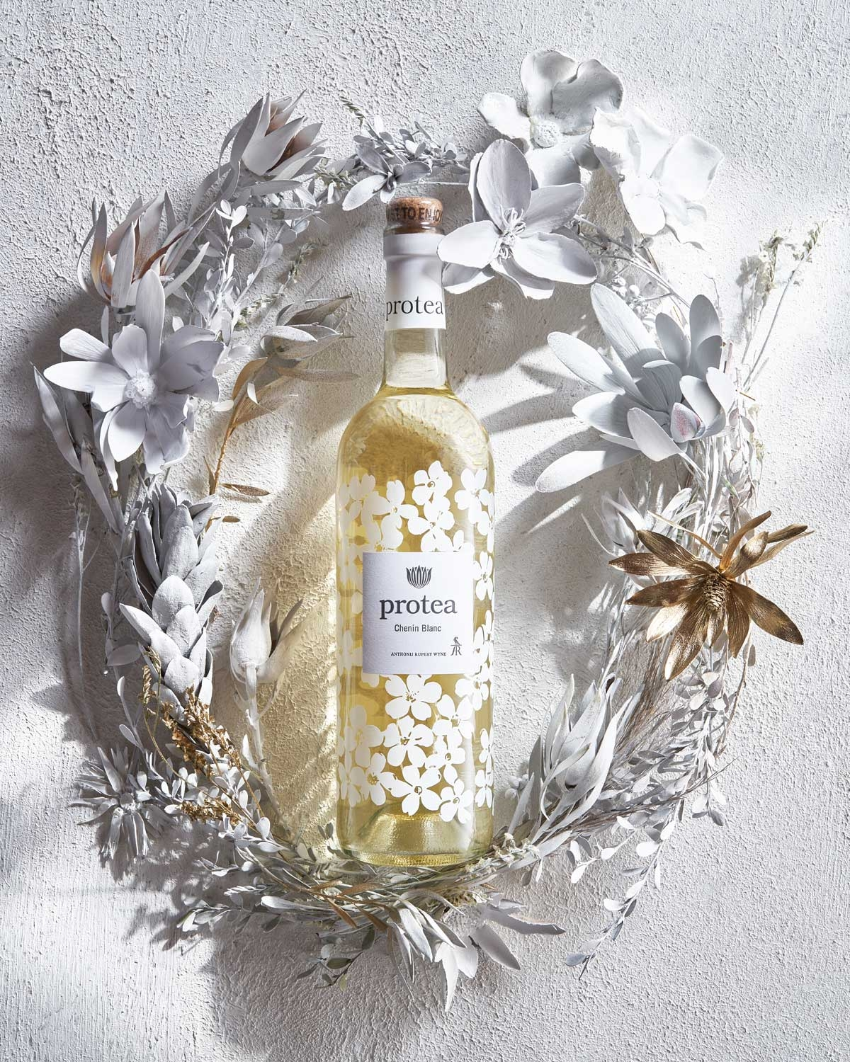 Protea Lieblingsweine ☀ Protea Weine + Kühlbeutel