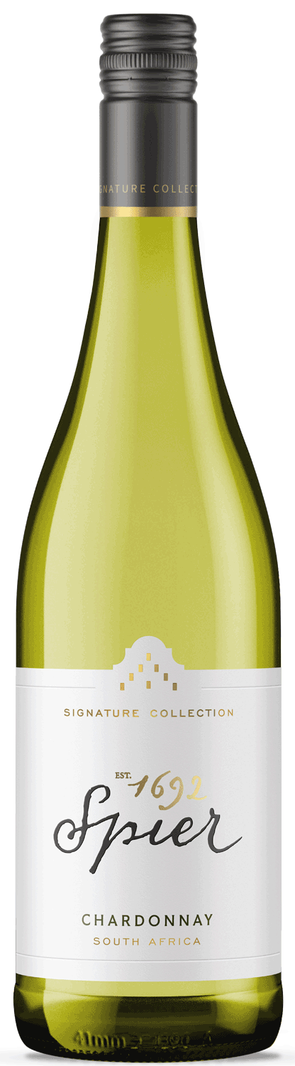 Eine Flasche Spier Signature Collection Chardonnay Wein aus Südafrika mit einem hellgrün getönten Glas und einem weißen Etikett mit goldener und schwarzer Schrift.
