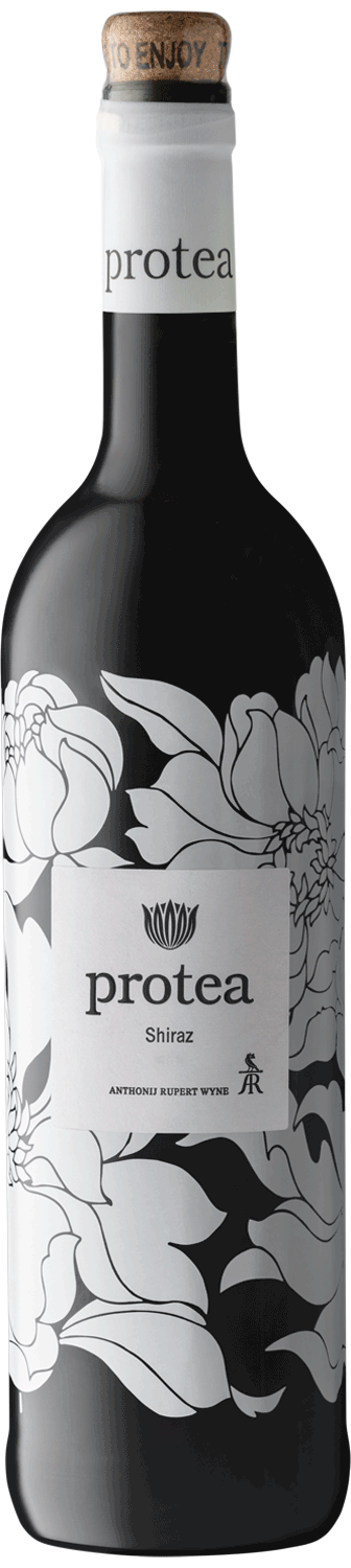 Eine Flasche Protea Shiraz-Wein mit Korken, weißem Etikett mit schwarzem Blumenmuster und dem Text Protea Shiraz sowie dem Aufdruck ANTHONIJ RUPERT WYNE darunter.
