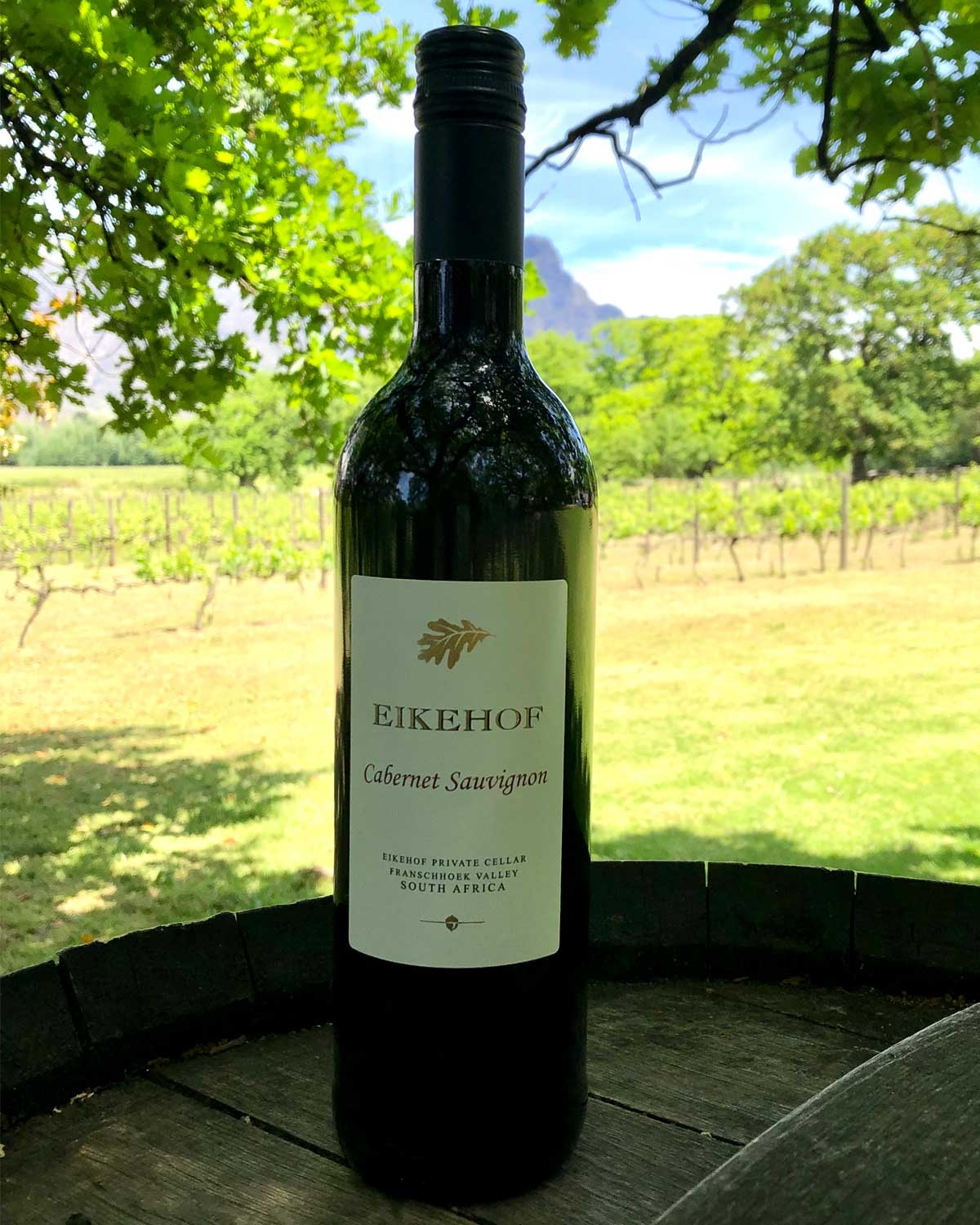 Eine Flasche Eikehof Cabernet Sauvignon mit einem weißen Etikett mit goldener Schrift und einem Blattgold-Logo. Die Flasche ist dunkel und hat einen schwarzen Schraubverschluss.