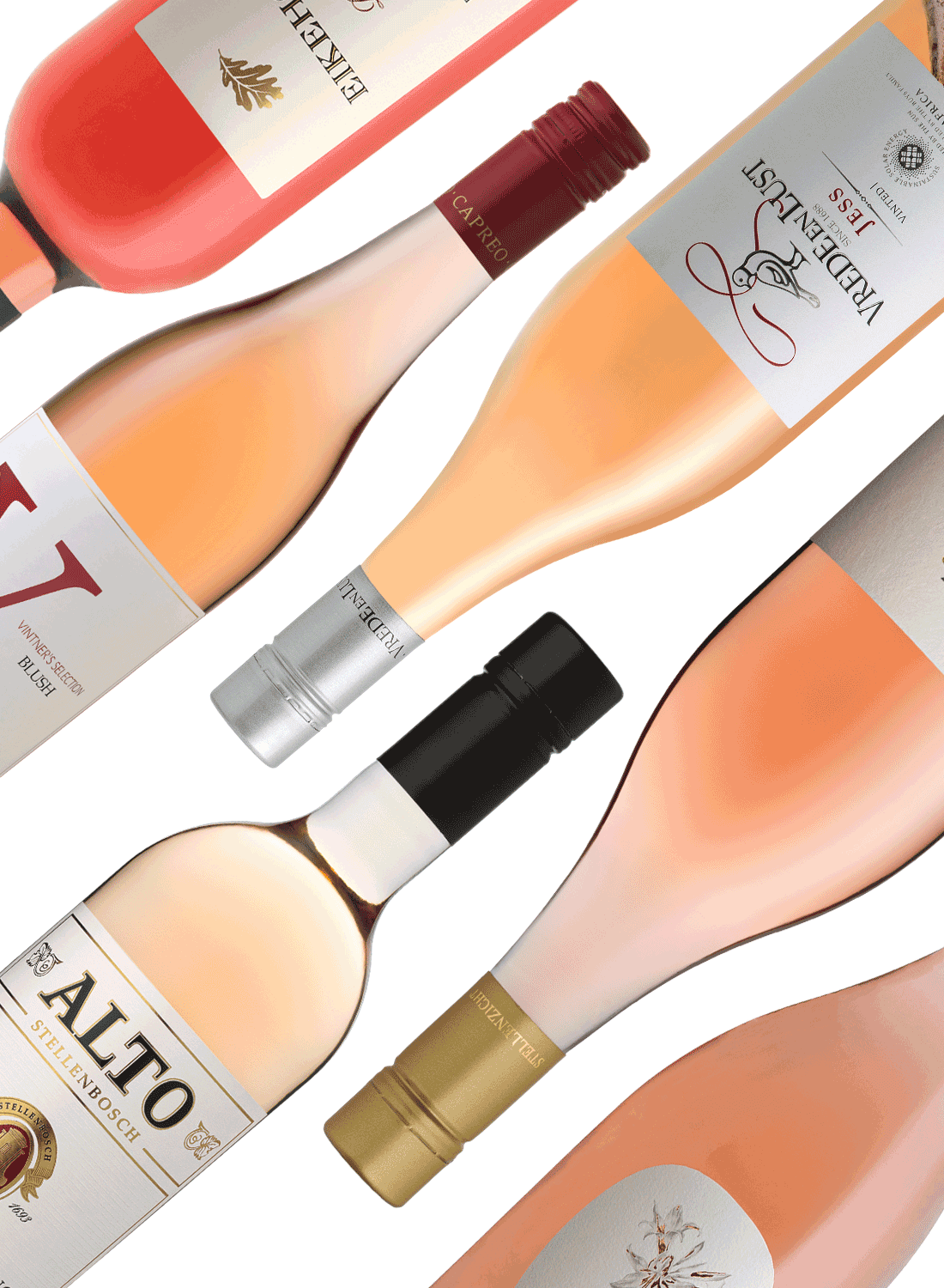 Best of Rosé 🌸 Rosé-Weinpaket