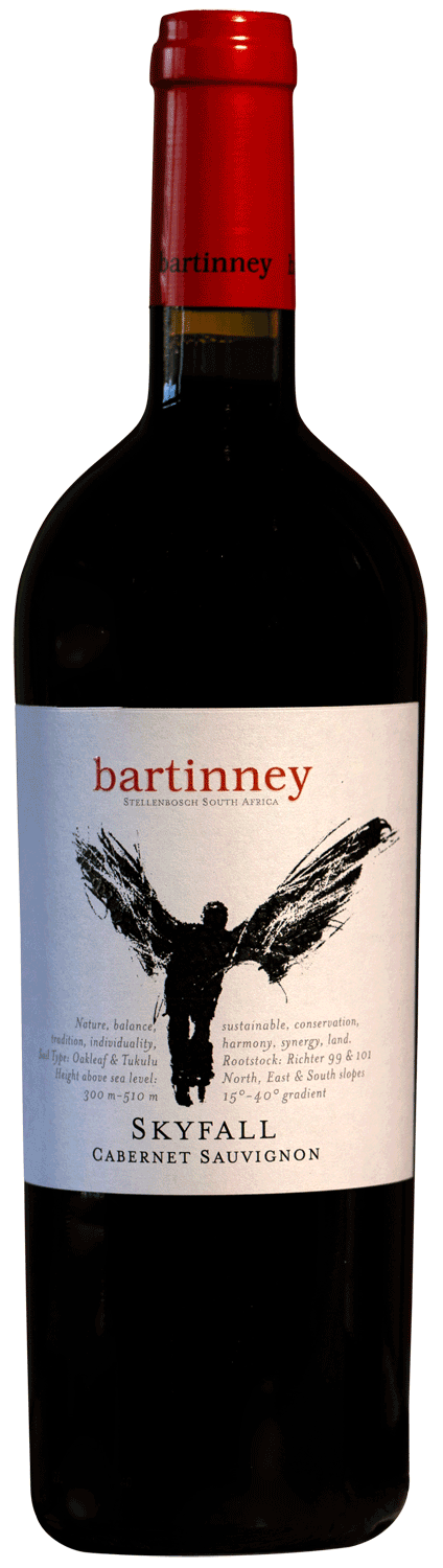 Bartinney Skyfall Cabernet Sauvignon 2016