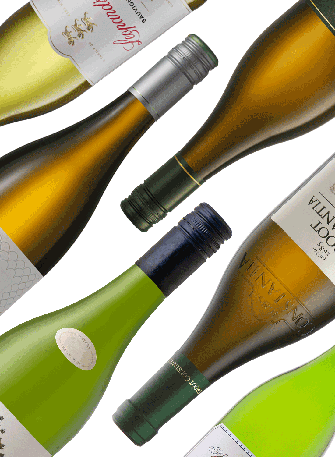 Best of Sauvignon Blanc 🍋