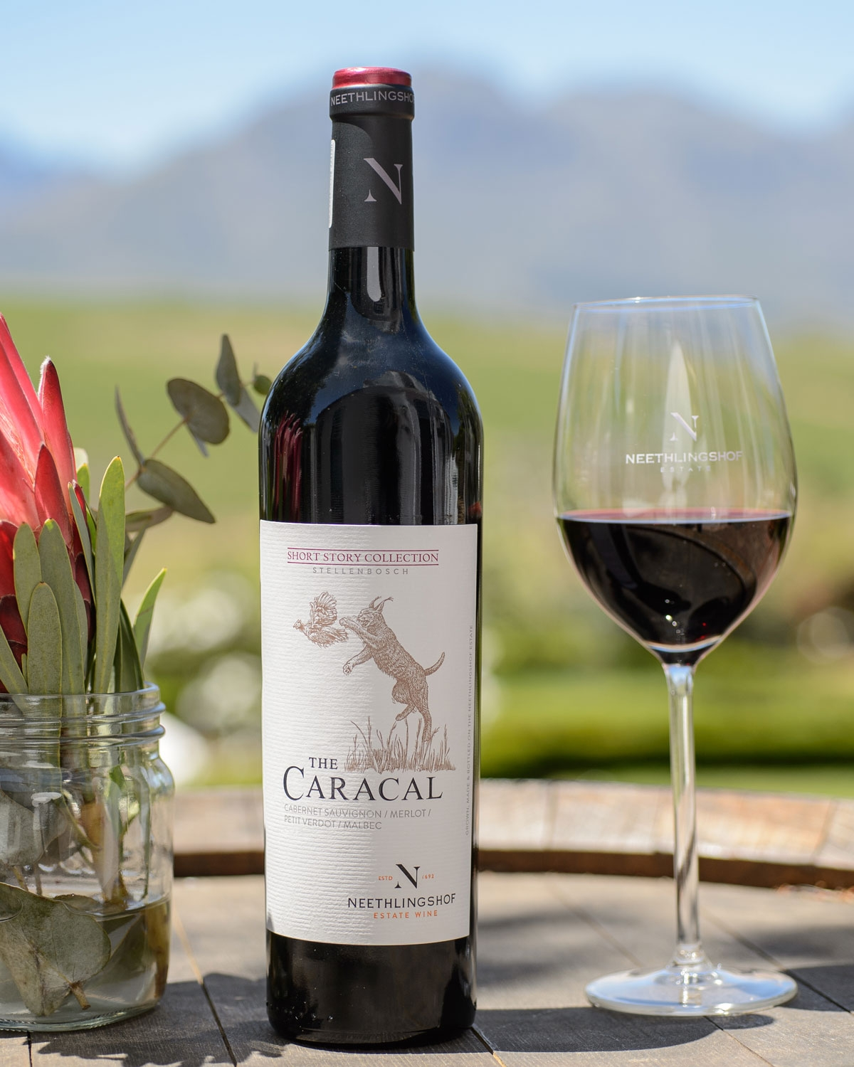 Eine Flasche Neethlingshof The Caracal Rotwein steht neben einem Glas Rotwein auf einem Tisch im Freien, mit einem Topf mit Blumen und einer verschwommenen grünen Landschaft im Hintergrund.