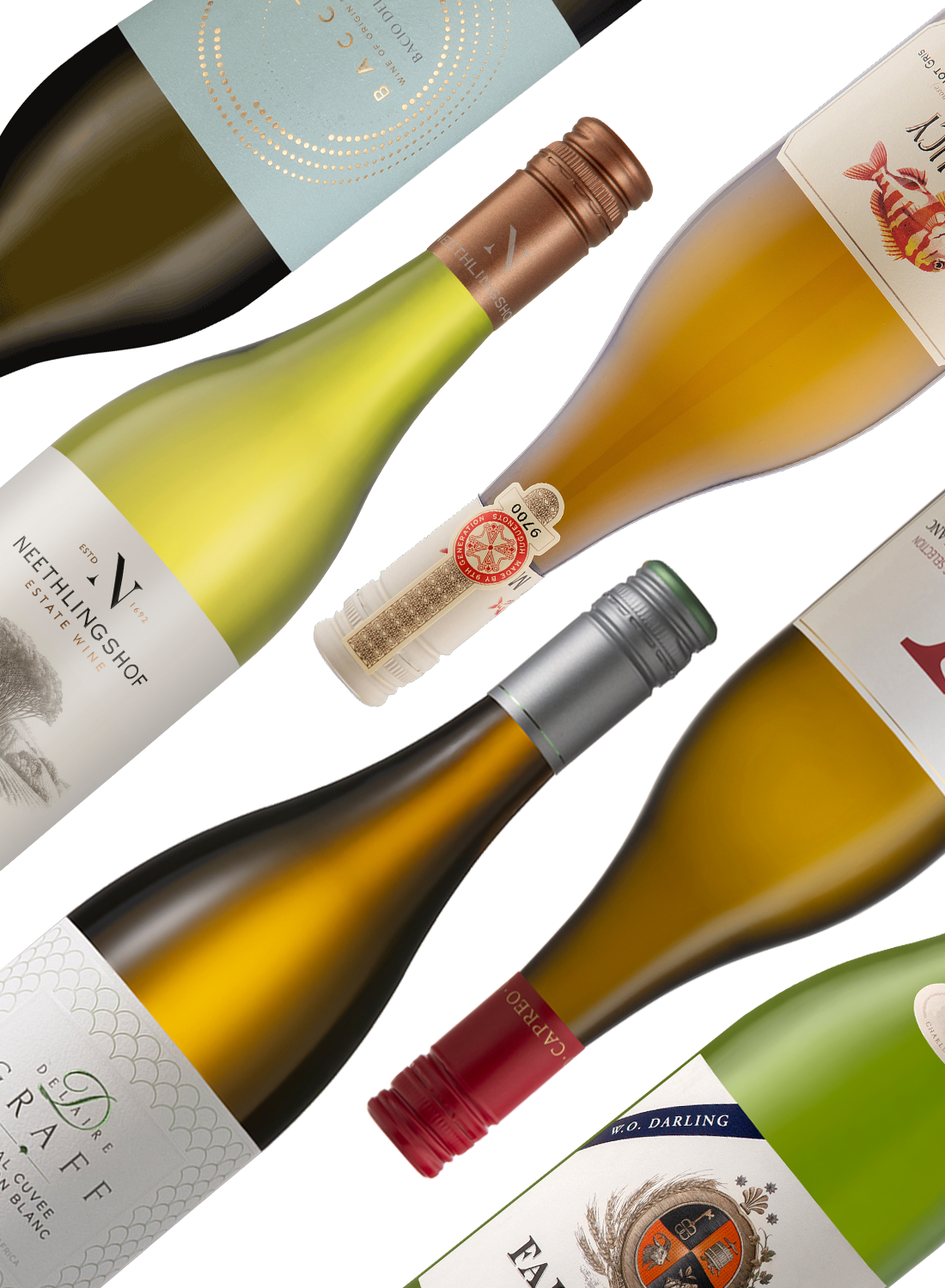 Best of Whites 🥂 Weißweinpaket