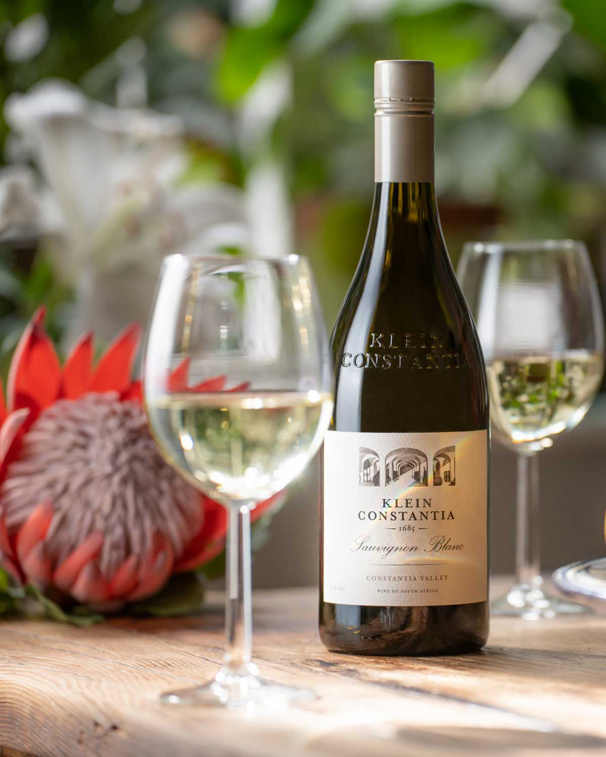 Eine Flasche Klein Constantia Sauvignon Blanc steht auf einem Holztisch neben zwei gefüllten Weingläsern, im Hintergrund eine Protea-Blüte und verschwommenes grünes Laub.