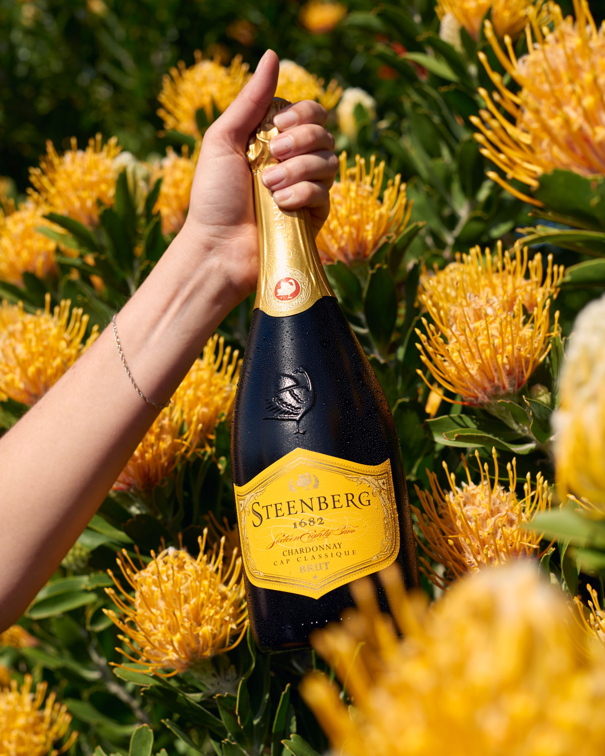 Eine Flasche Steenberg 1682 Chardonnay Cap Classique Brut mit einem in Goldfolie eingeschweißten Deckel und einem gelben Etikett mit dem Steenberg-Logo und Text.