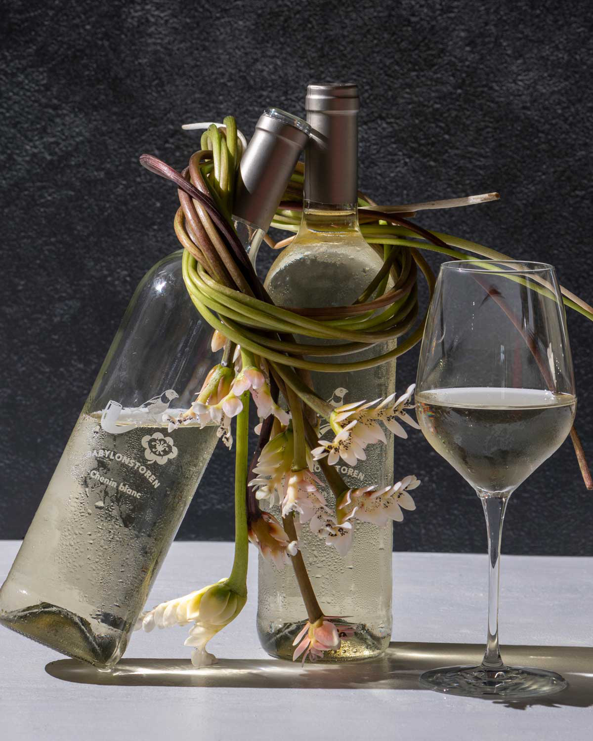 Eine klare Glasflasche mit goldenem Verschluss, die Weißwein enthält. Auf dem Etikett steht Babylonstoren Chenin Blanc mit einer minimalen Illustration eines Vogels und einer Blume. Der Wein erscheint blassgelb.