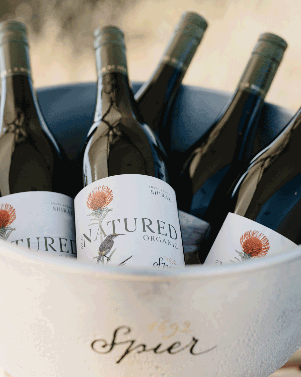 Spier Good Natured Organic Shiraz 2023