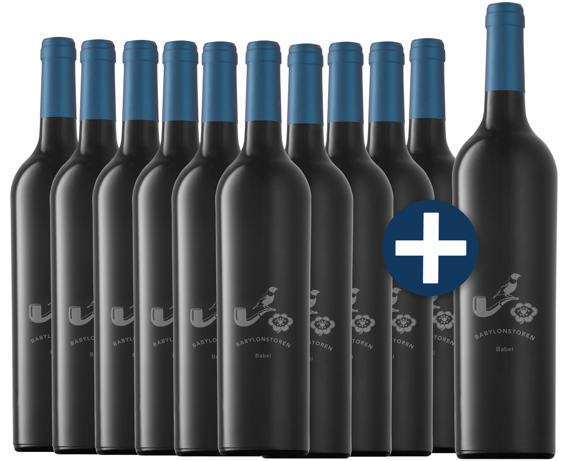 Babylonstoren Babel Red Blend 2024 🍷 10 Flaschen + Gratis Magnum